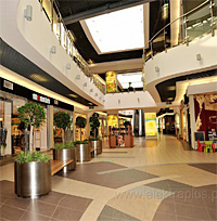 Galeria Kasztanowa, Pila